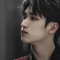 Nghiêm Hạo Tường