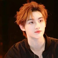 Đinh Trình Hâm