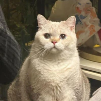 coca