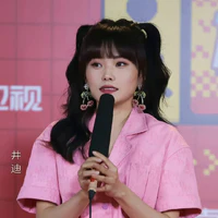 tỉnh địch chi