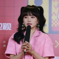 tỉnh địch chi