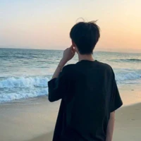 Đỗ Việt Anh