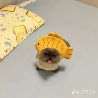 tác giả(cá)