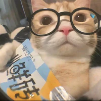 Vợ DomicMasterD aka Kitty