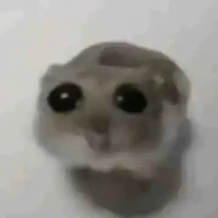 tác giả đáng yêu