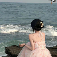 Hàn Thương - bạn nữ chính 