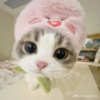 ？？？