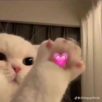 ？？？