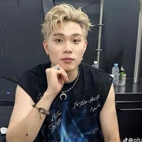 dương domic