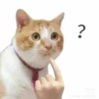 All đám trẻ(top)