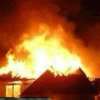 Tác giả cute phomai que🤓