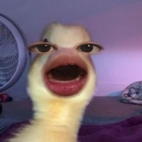 HaeJin tập viết truyện