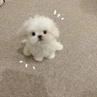 Bun [quản lý hệ thống]