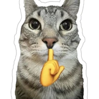 ？？？