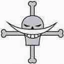 Băng Hải tặc Râu Trắng