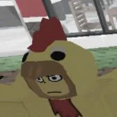 Shedletsky Chicken