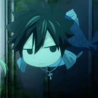 Gray Fullbuster