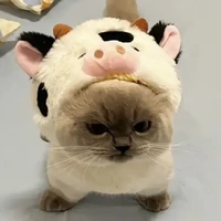 T/g giận dỗi😠