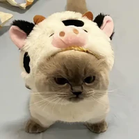T/g giận dỗi😠