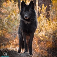 all top(trừ ai thì trừ)