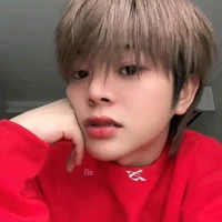 Nguyễn Quang Anh_nv2