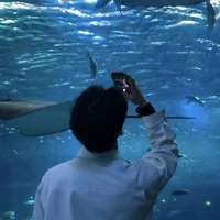 Châu Quốc Hạo • Anh