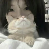 leo_t/g