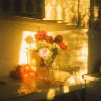 _Nvp
