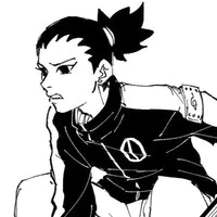 Nara Shikadai