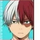 Shouto Todoroki (轟 焦凍)