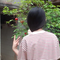 t/g của các cou nò