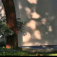 Nhân vật phụ