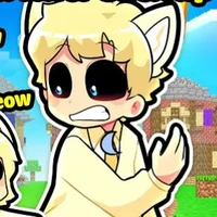 hiha anti catnap