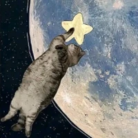 Hệ thống cute phô mai que nhất tgioi