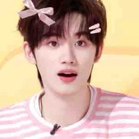 Đinh trình Hâm