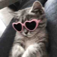 Nhỏ t/g lắm mồm 