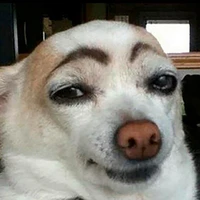 tongtai