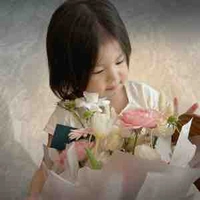 Nguyễn an hải đường-pam-16t