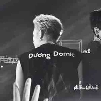 Trần Đăng Dương ( Dương Domic )