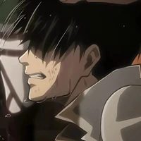 Levi