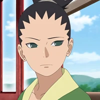 Nara Shikadai