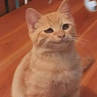 tác giả lương lẹo