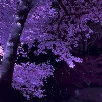 _Hệ Thống Xuyên Không_