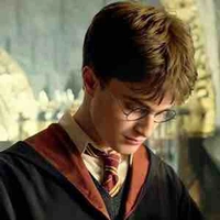 Harry Potter 🦁