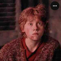 Ron Weasley 🦁