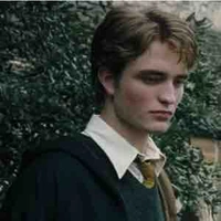 Cedric Diggory 🦨