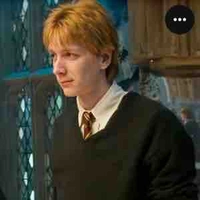 Fred Weasley 🦁