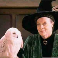 Mc Gonagall