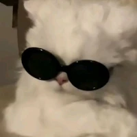T/g