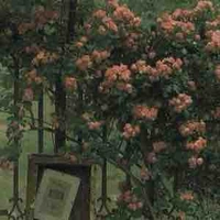 Các phu nhân, lão gia